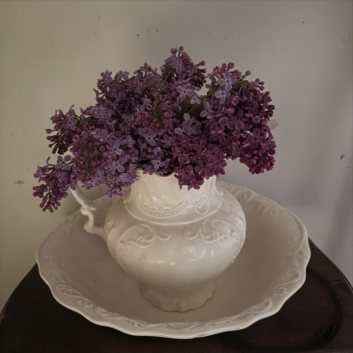Went to Goodwill on Sunday Funday Dollar Day and scored this beautiful chamber pot marked<prob not antique but gives the vibe> for just $1.00 💵
Came home and and had my own little Lilac Festival with my lilac tree 💜💜